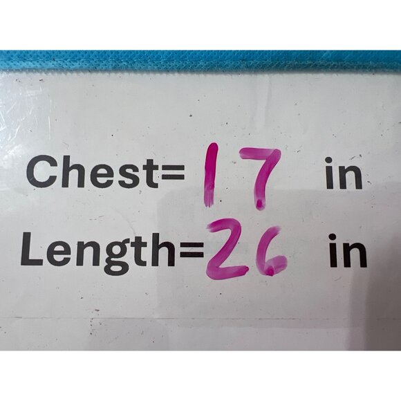 Nike Montana State Bobcats V Neck Graphic Tee Womens Small Short Sleeve College - Picture 5 of 6